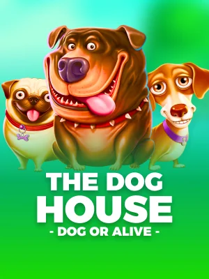 A Casa Do Cachorro